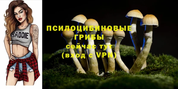 PSILOCYBIN Алексеевка